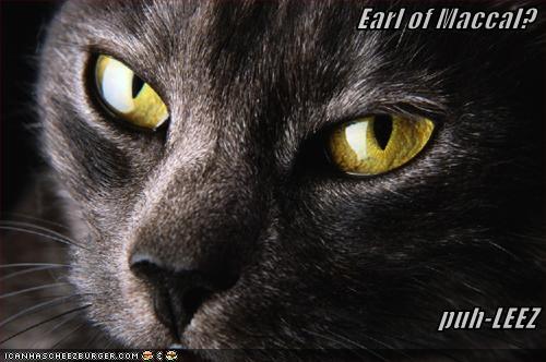 Sedracat Sez...